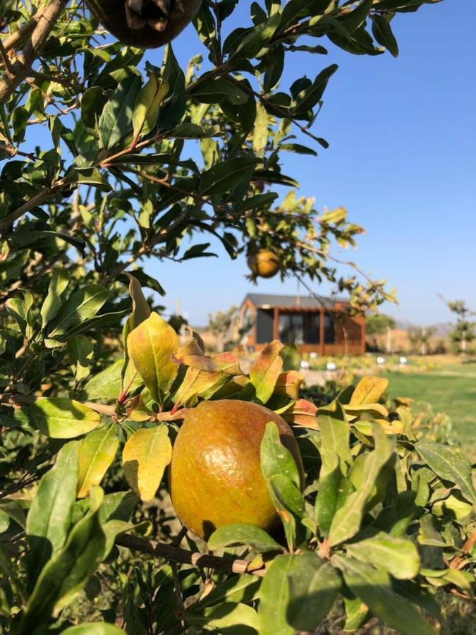 Kızlanköy Radika Datca المظهر الخارجي الصورة
